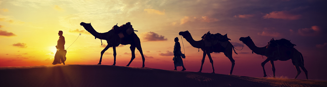 Two men and three camels walking in the desert at dusk
