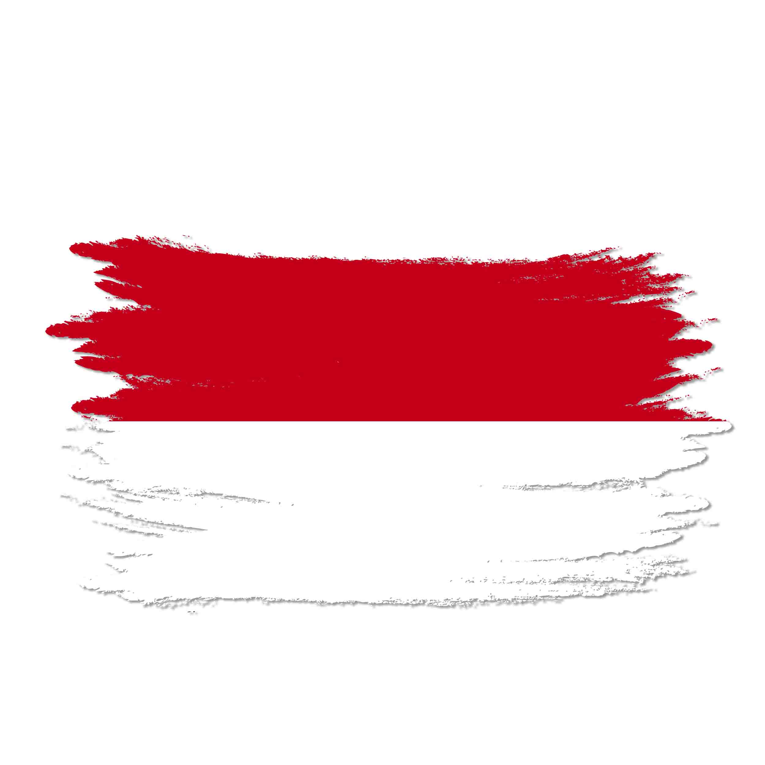 Indonesia Watercolor Flag