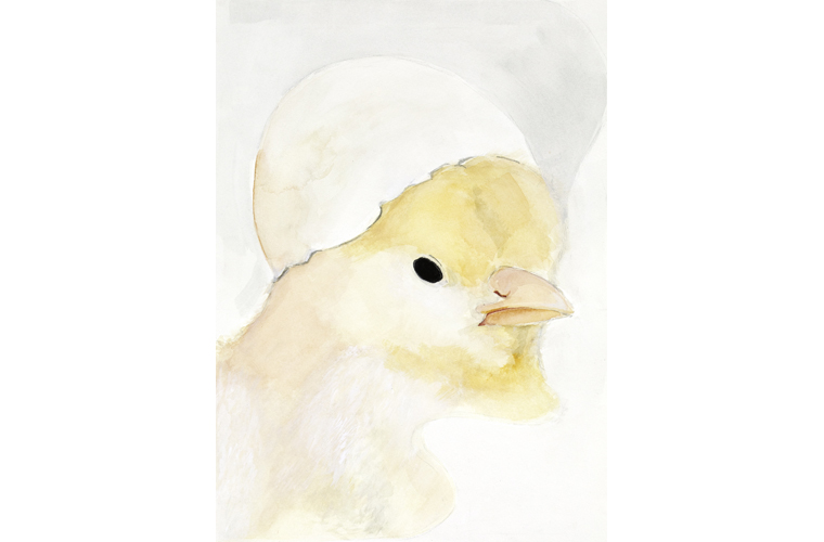 Hannah Grace Pagtama, “Chicken”, Watercolor on Paper, 13” x 17”, 2019
